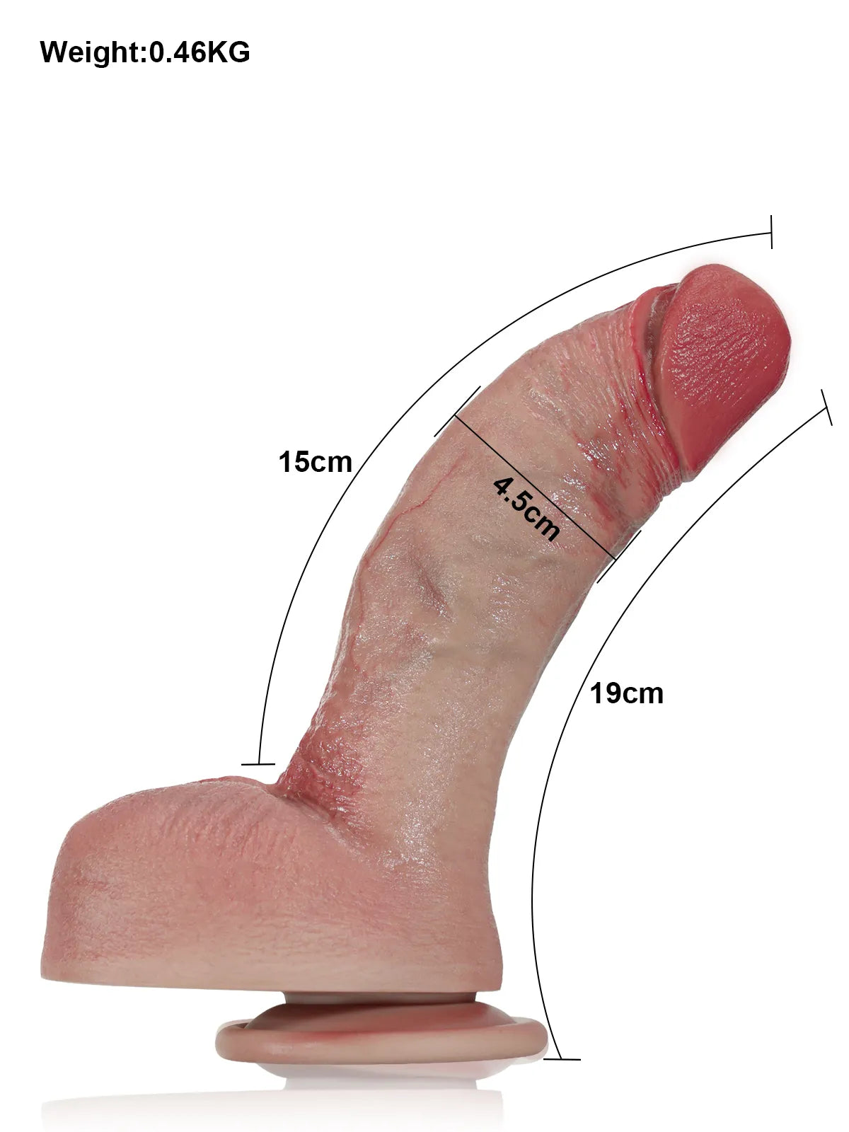 Robert - Godemichet Réaliste en Silicone Courbé et Souple avec Bourses Serrées - 19 cm