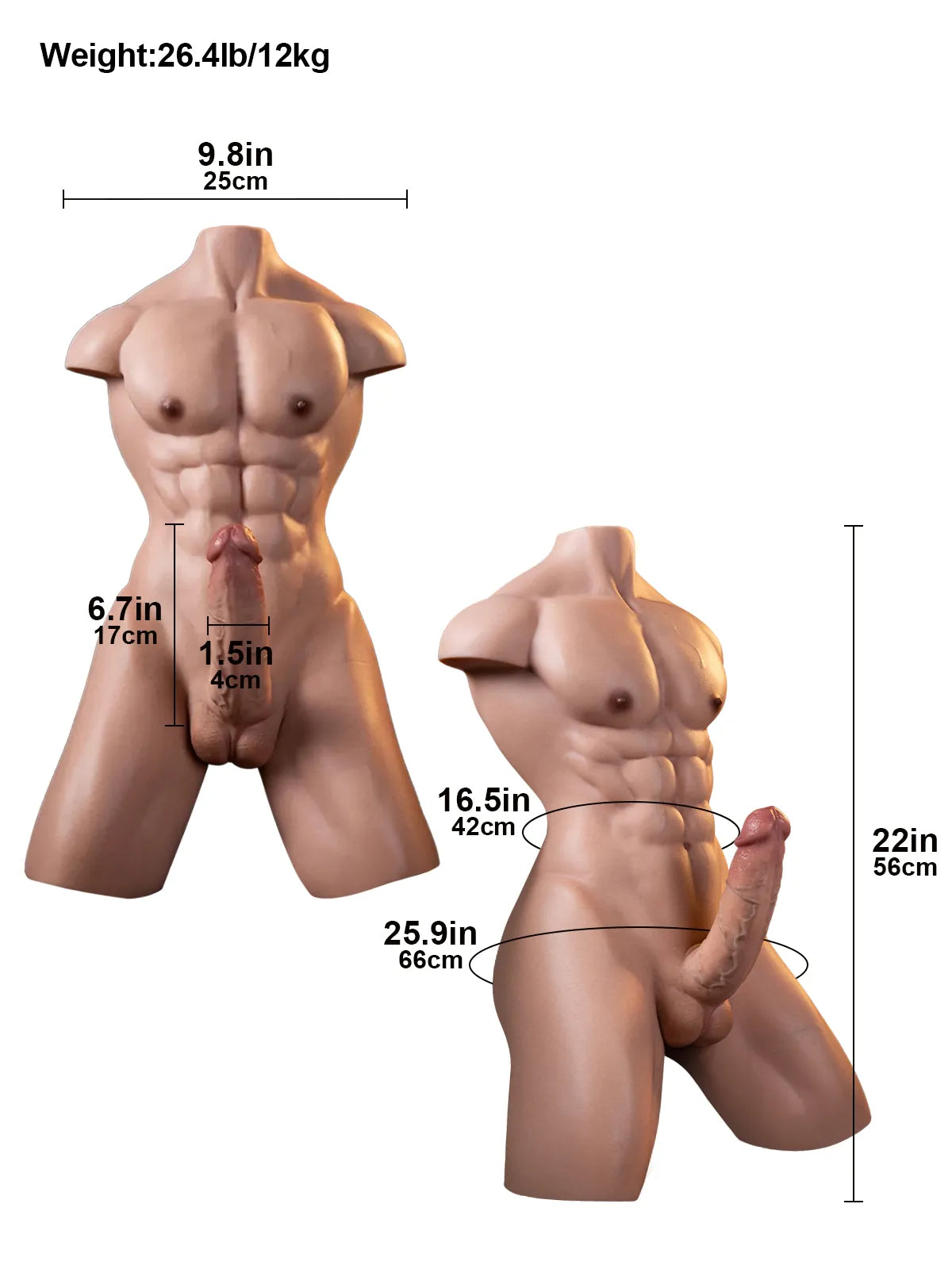 Serge - Dildo Torse Musclé de 12 kg avec Canal Intime - 17 cm
