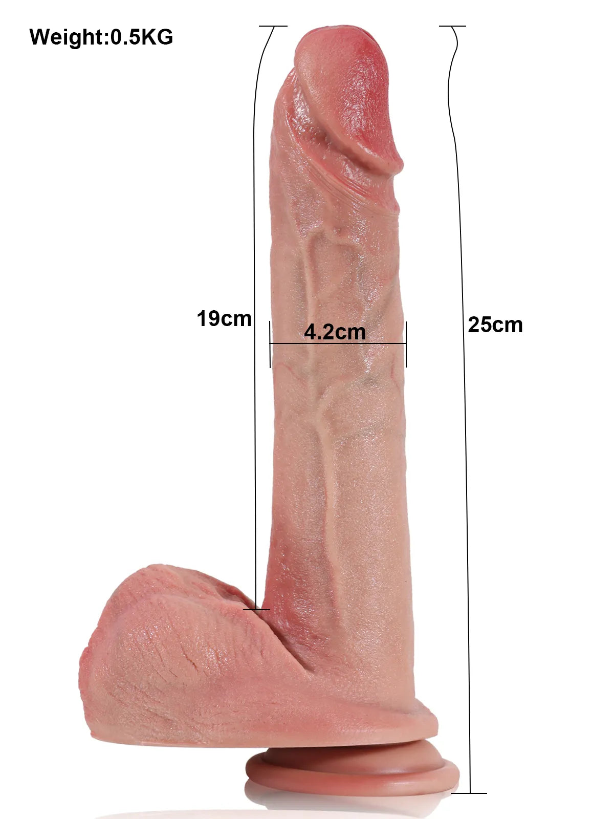 Tristan - Grand Godemichet Réaliste Long et Arrondi avec Testicules Plissés - 25 cm